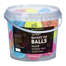 Bucket of Tennis Balls for Dogs Spunky Pup
